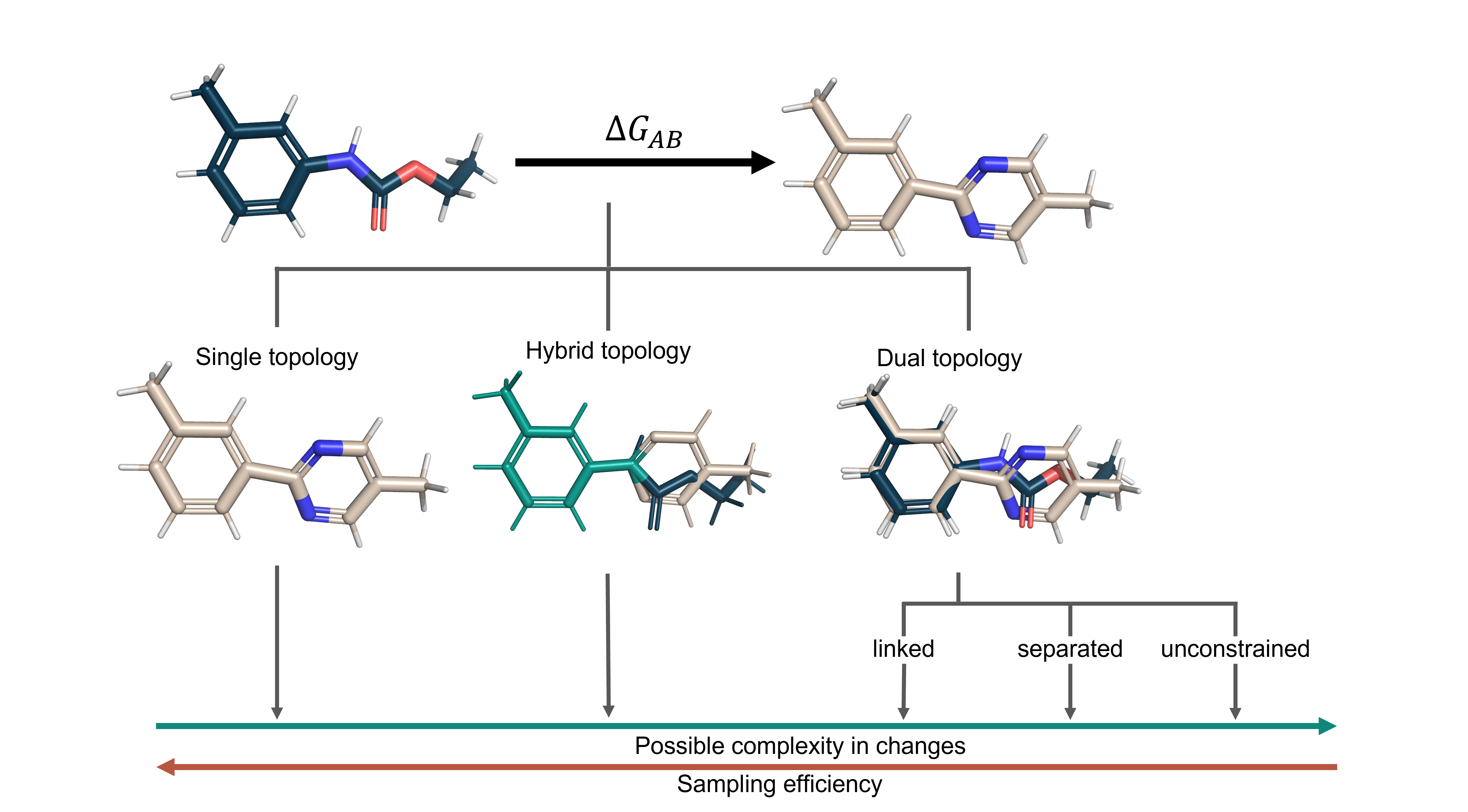 ../_images/Topology_types.png
